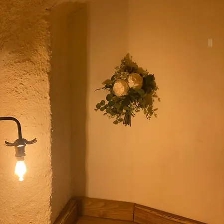 Bed & Breakfast Natura Rooms&sport